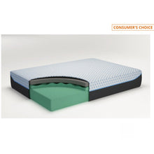 Load image into Gallery viewer, M71431